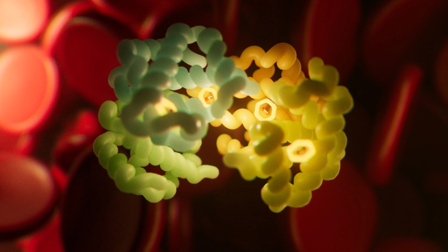 Hemoglobin T to R conformational transition — 3D animation of allosteric change revealing heme groups during oxygen binding, molecular visualization by Juan Pedro Bozzolo